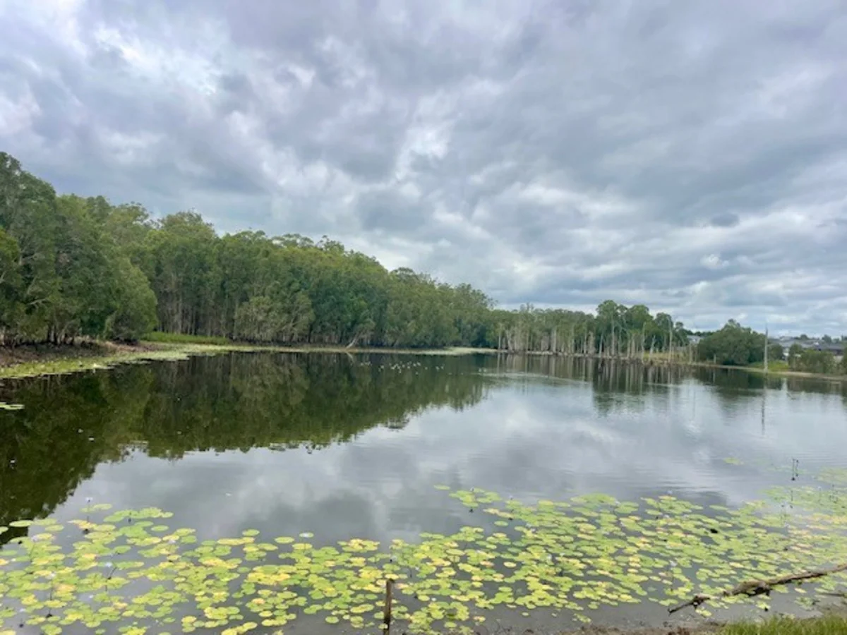 Additional image 4 of D'Aguilar QLD 4514