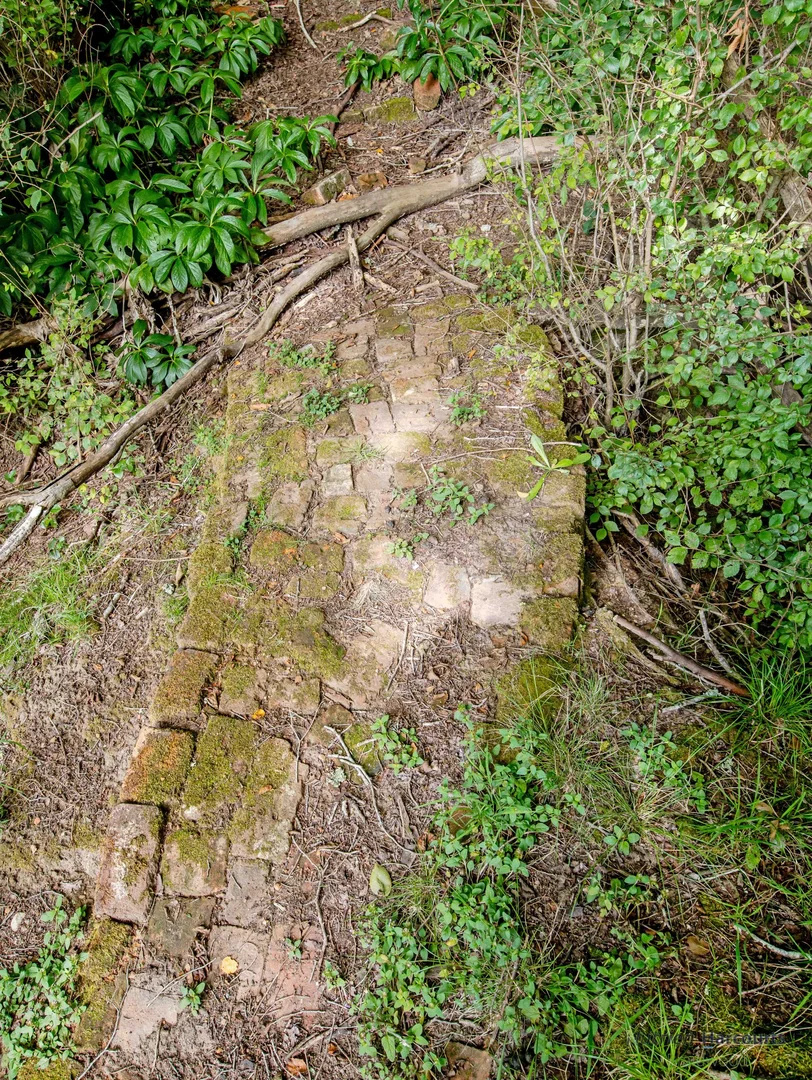 Additional image 34 of 106 Cawthornes Lane, Braidwood NSW 2622