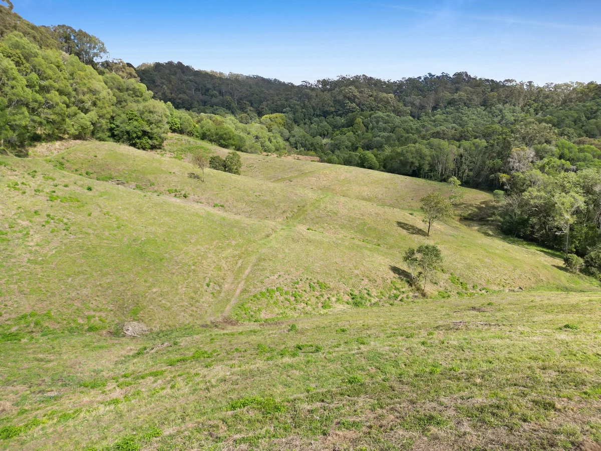 Additional image 16 of 422A Tallebudgera Connection Road, Tallebudgera QLD 4228
