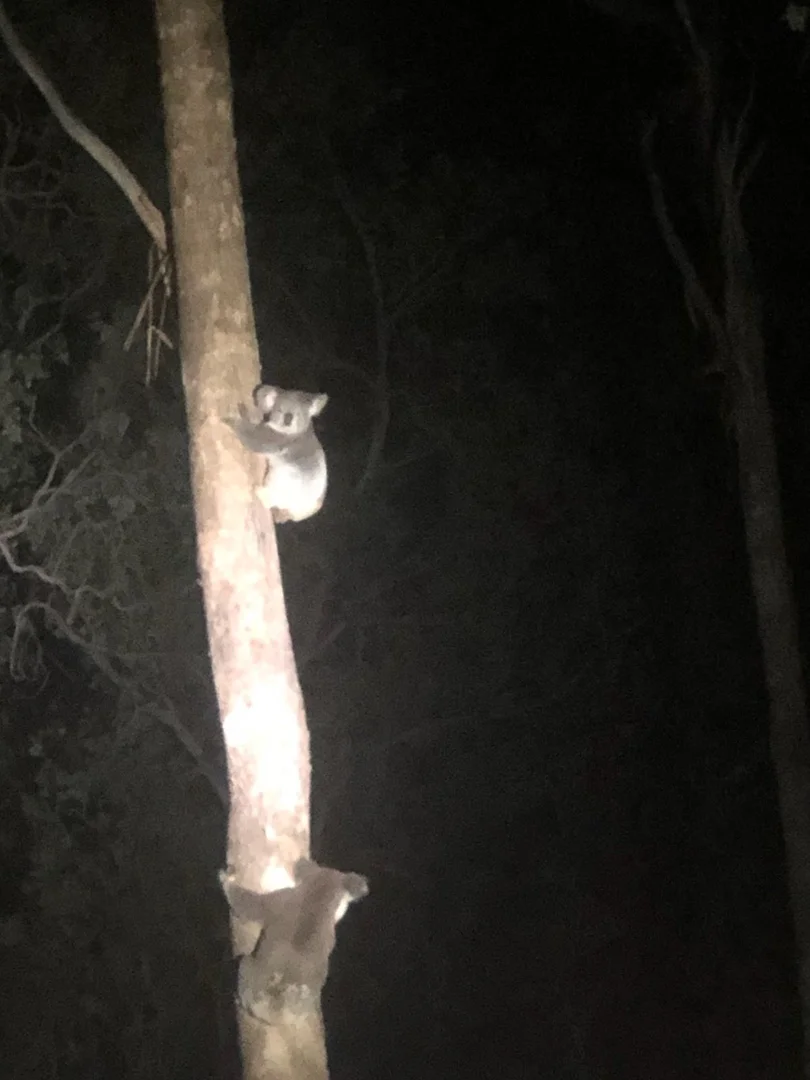 Additional image 14 of 151 Cameron Road, Taromeo QLD 4314