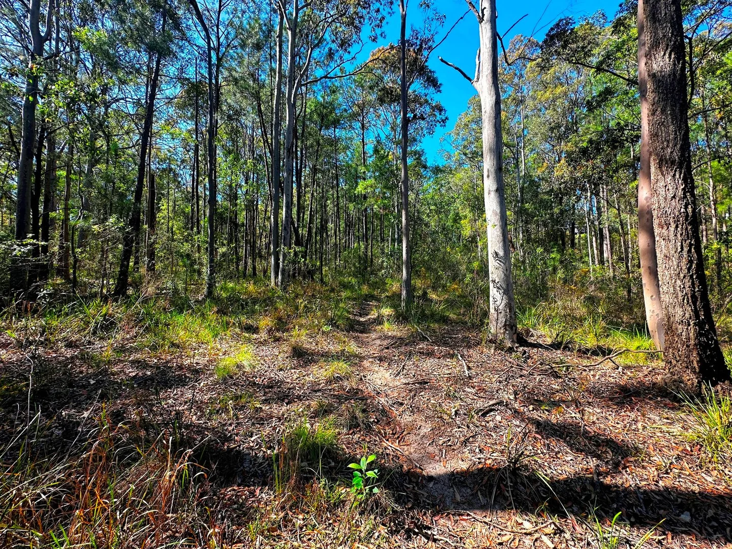 Additional image 8 of 88 Clarke Street, Pindimar NSW 2324