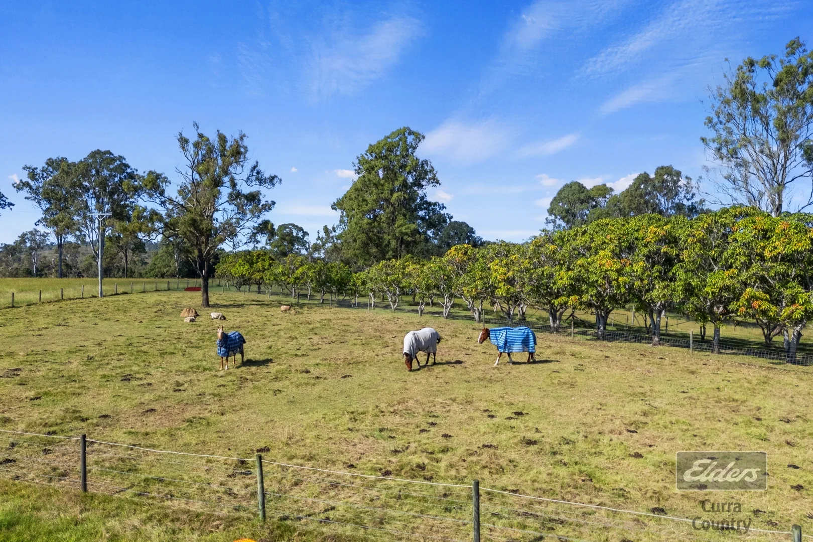 Additional image 46 of 286 Scotchy Pocket Road, Scotchy Pocket QLD 4570