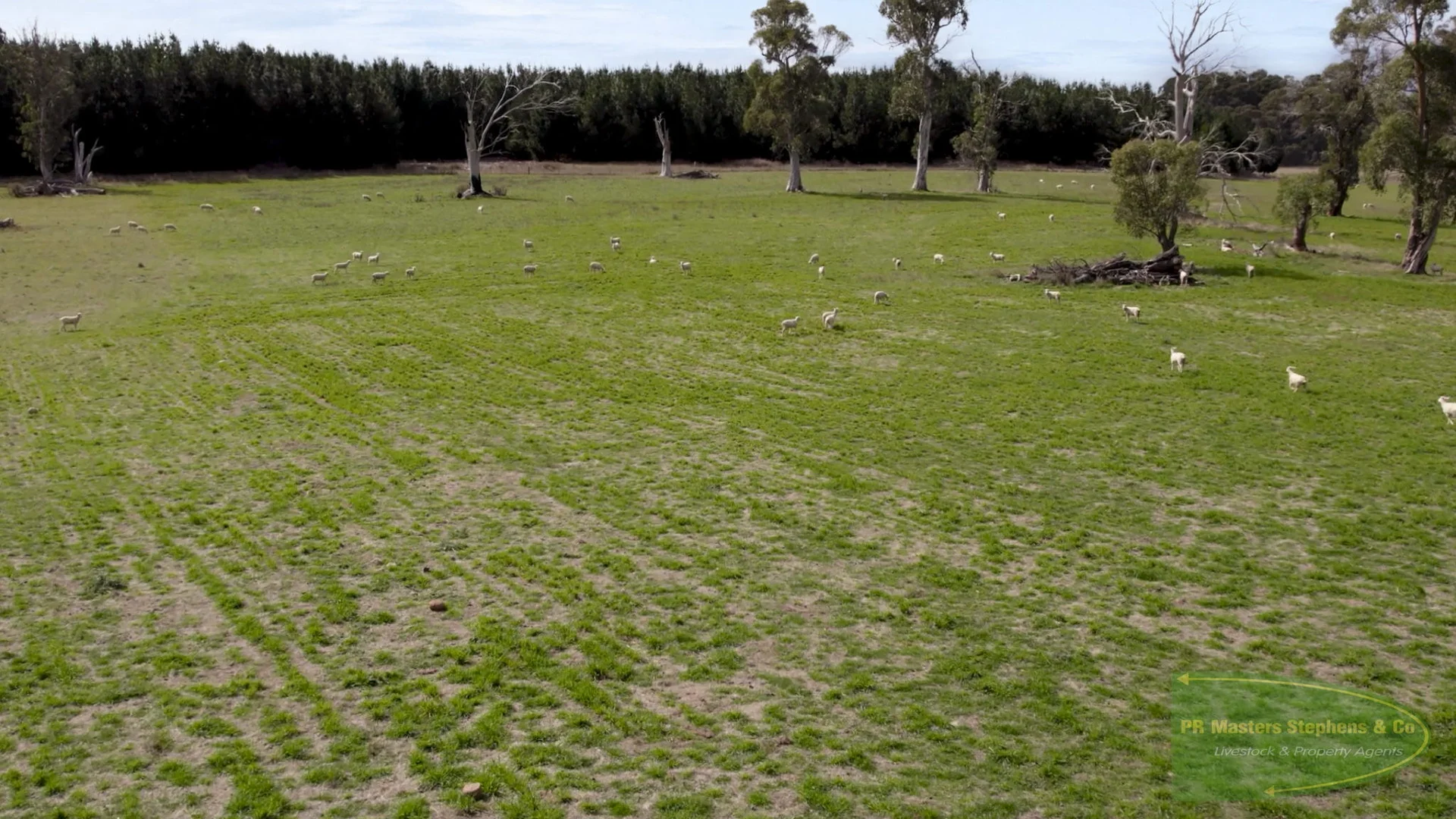 Additional image 6 of 800 Riverview Forest Road, Mozart NSW 2787