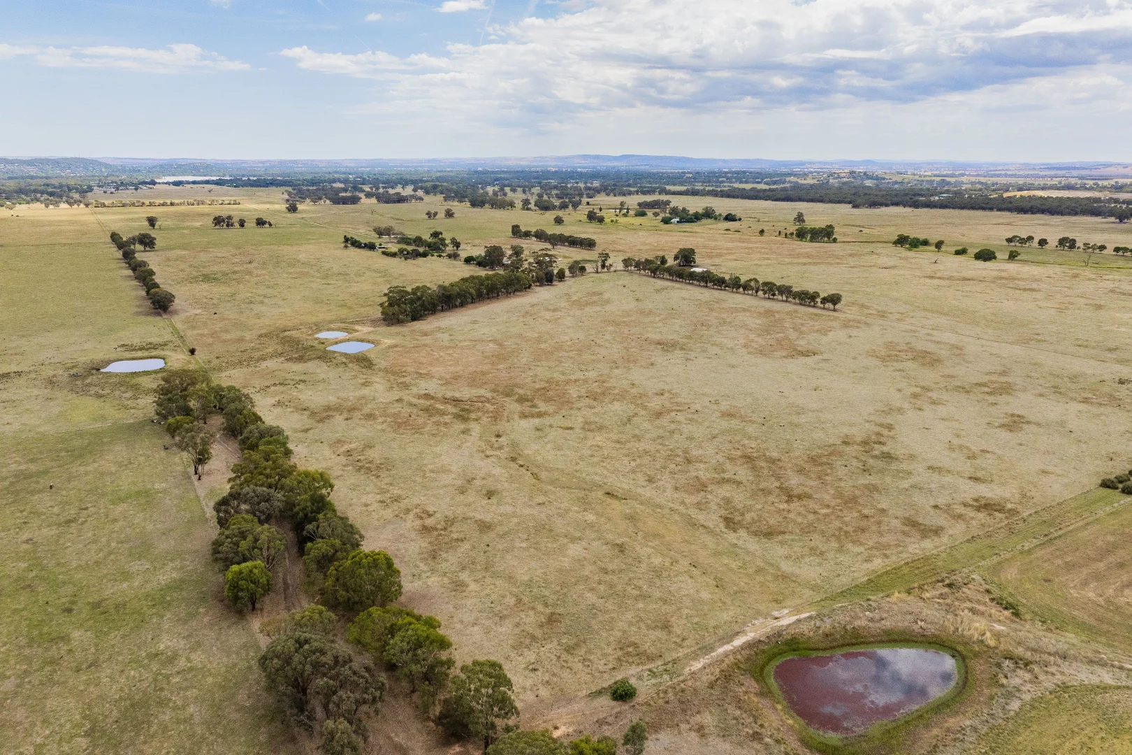 Additional image 24 of 301 Boiling Down Road, Rowan NSW 2650