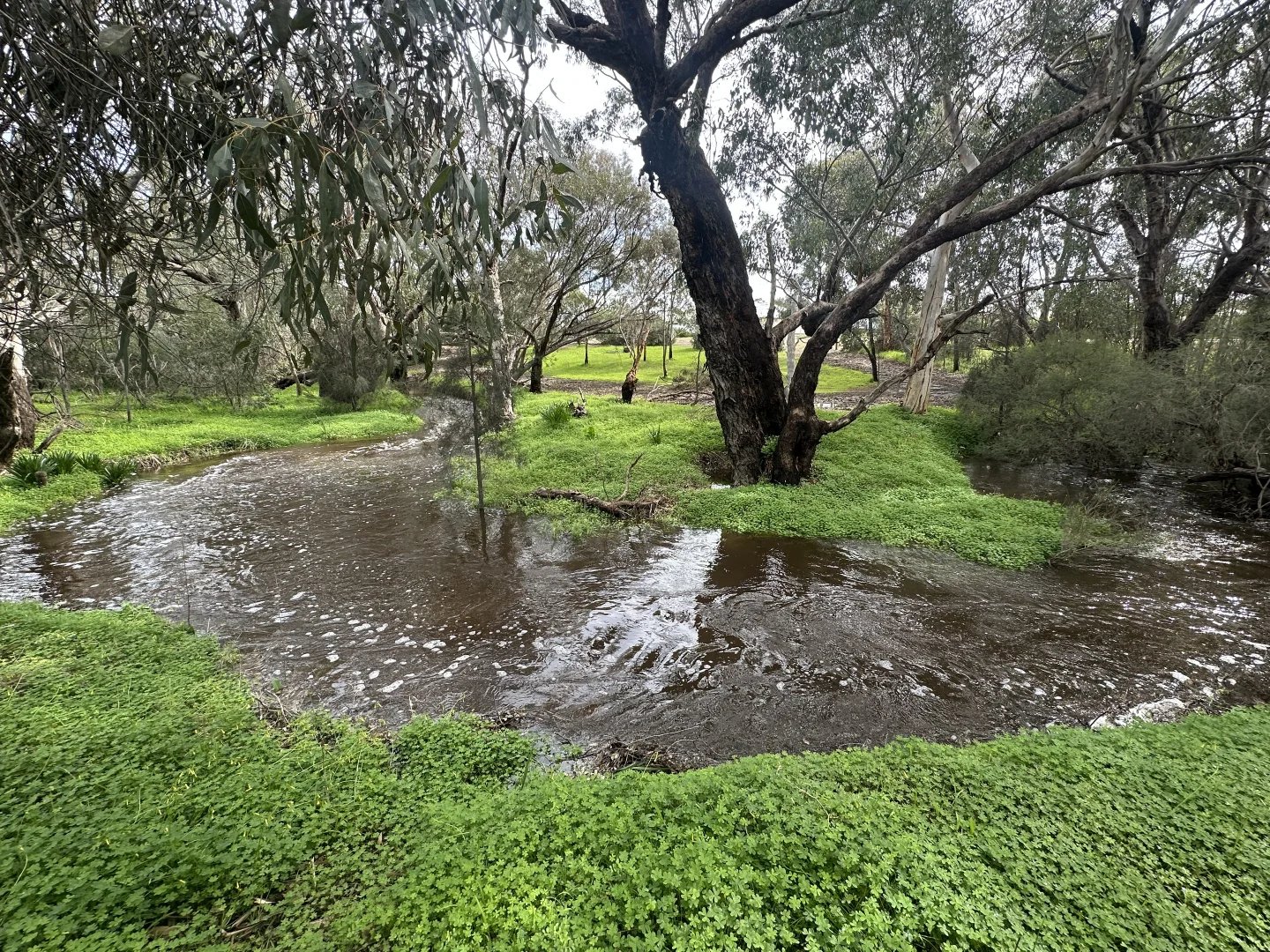 Additional image 4 of 3 Redmile Road, York WA 6302