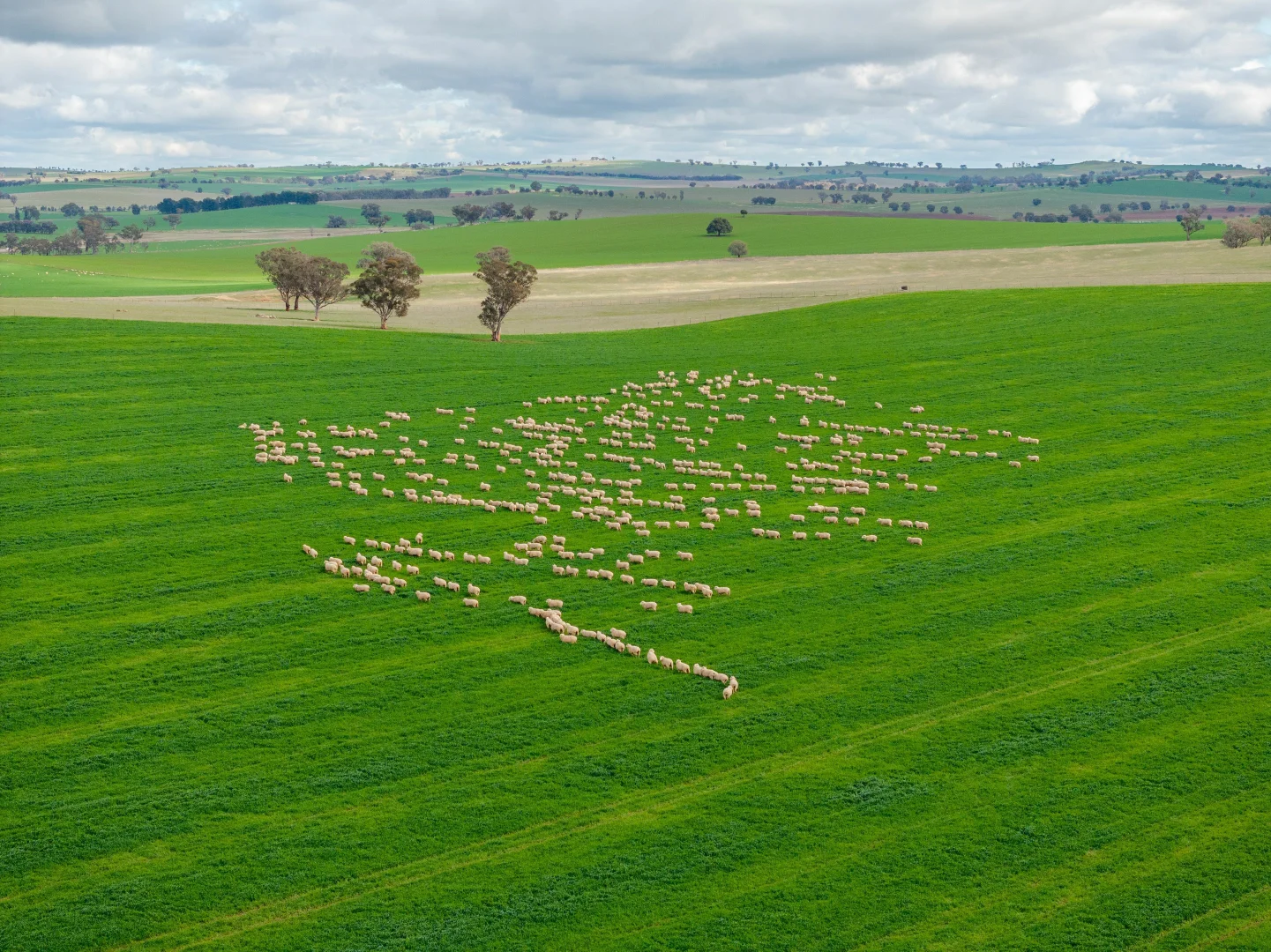 Additional image 7 of 79 Goldfields Way Old Junee Via, Wagga Wagga NSW 2650