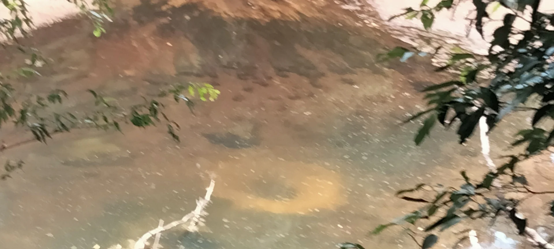 Additional image 25 of 3359 Lowmead Road, Lowmead QLD 4676