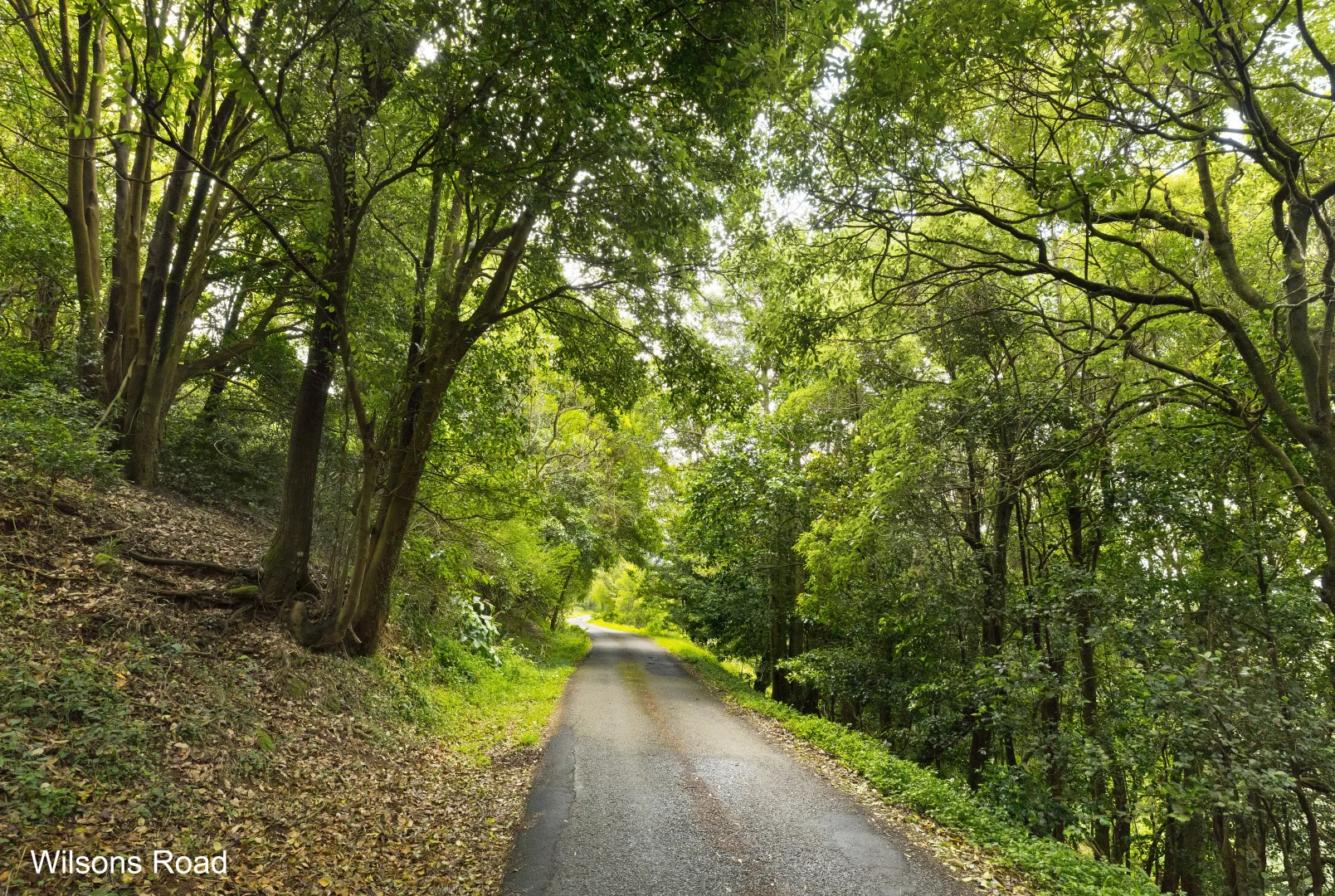 Additional image 11 of 'DJAWULA' Lot 2022 Wilsons Road, Saddleback Mountain NSW 2533