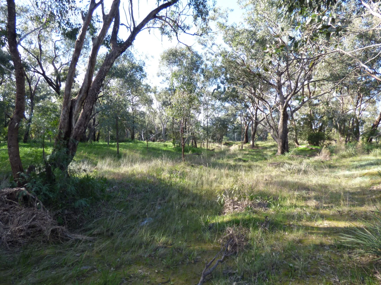 Additional image 6 of 48 Dudauman St, Stockinbingal NSW 2725