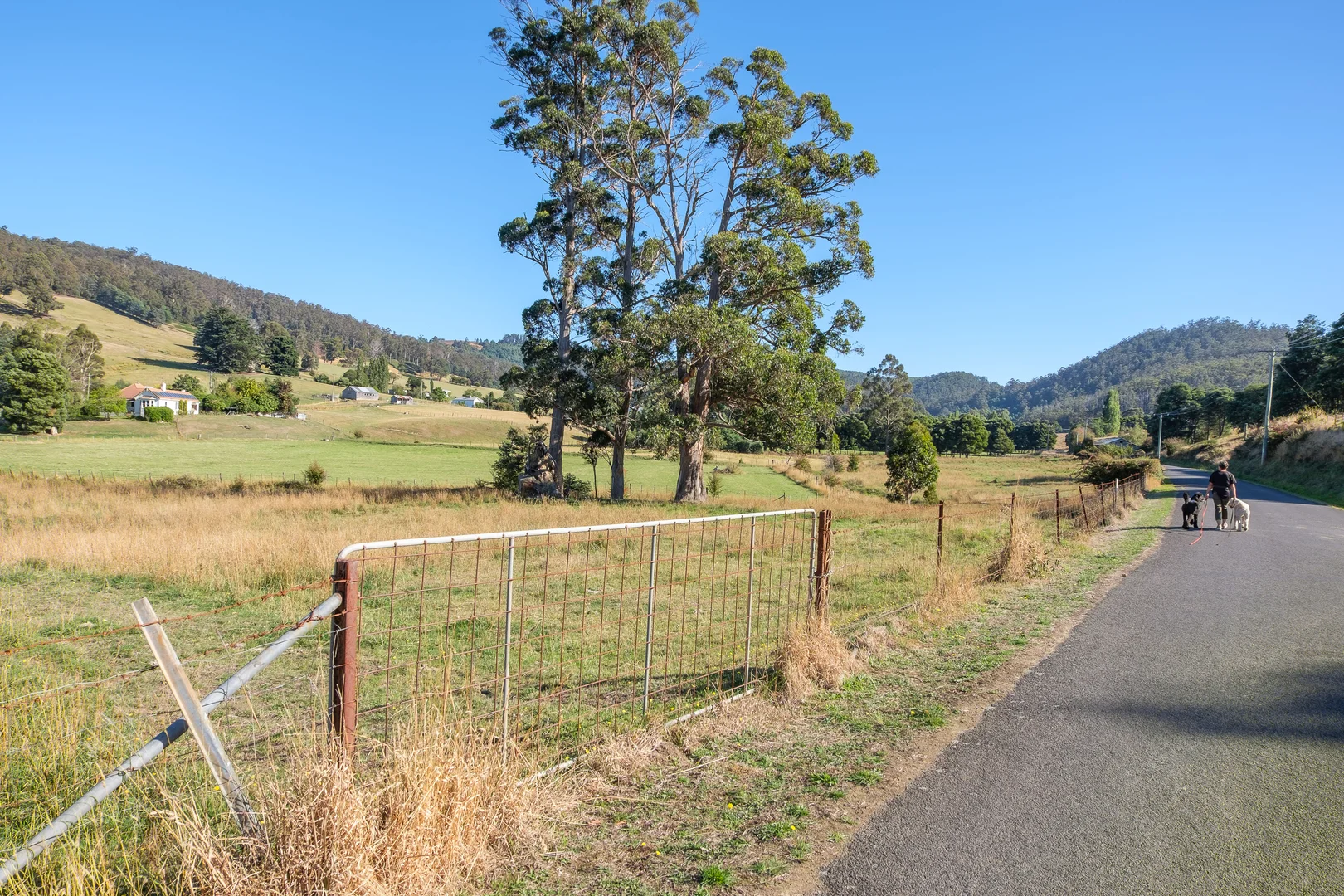 Additional image 6 of Lot 1 Slab Road, Cygnet TAS 7112