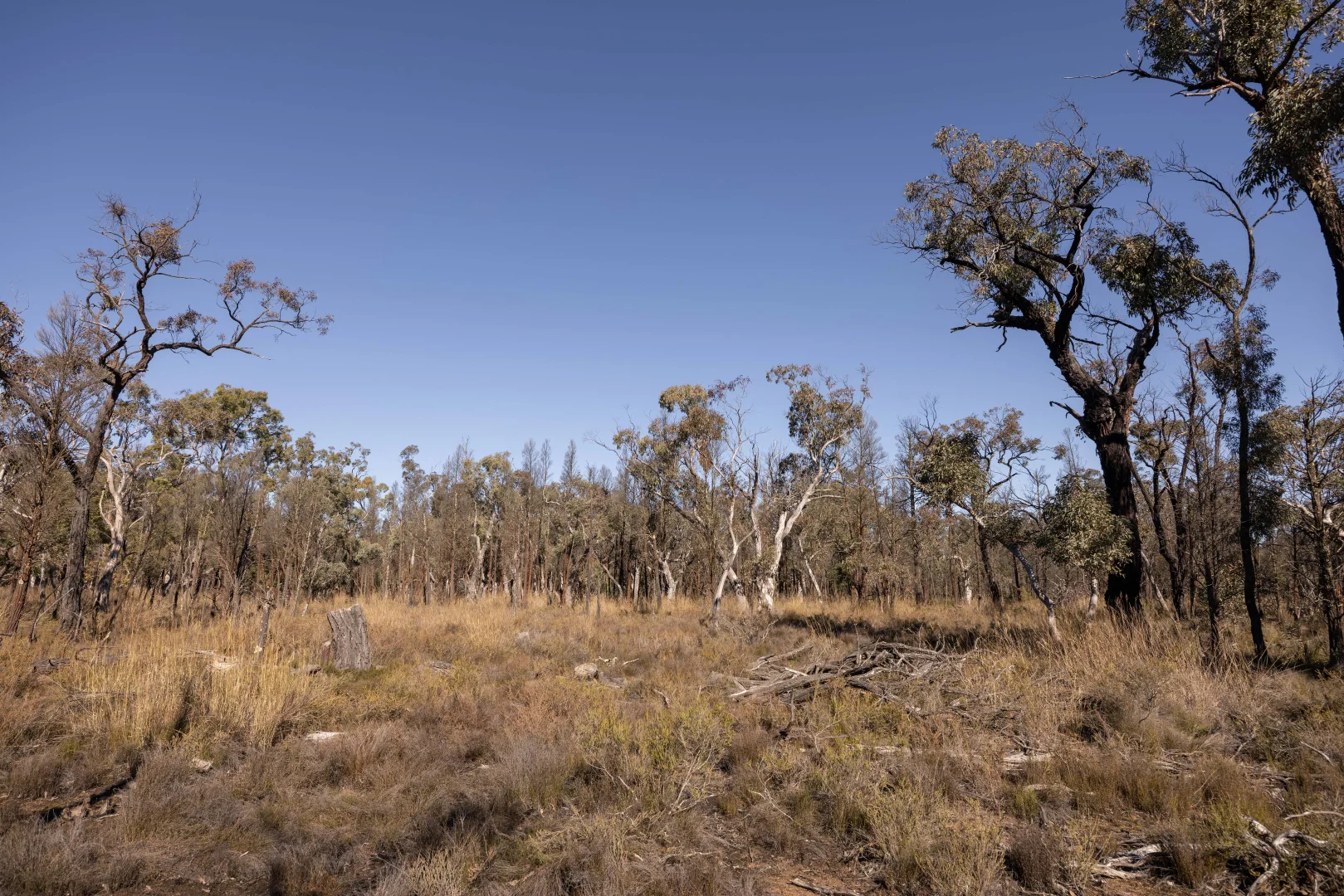 Additional image 4 of 250 Springwood Park Road, Gulgong NSW 2852