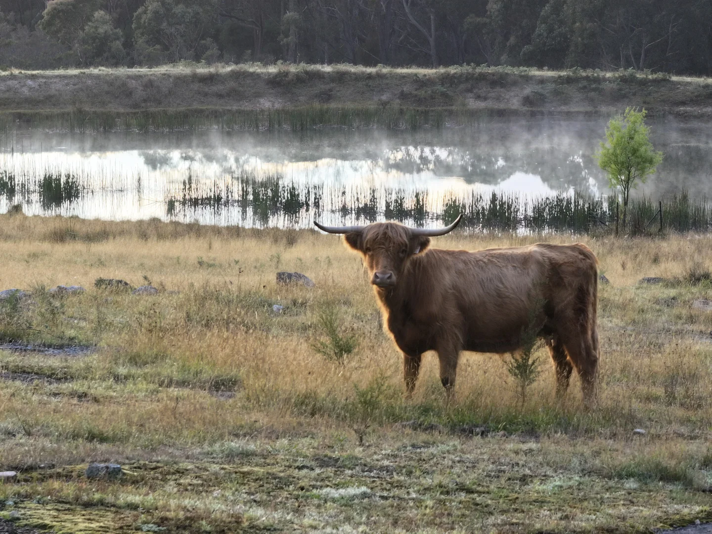 Additional image 19 of 181 Drapers Road, Colo Vale NSW 2575