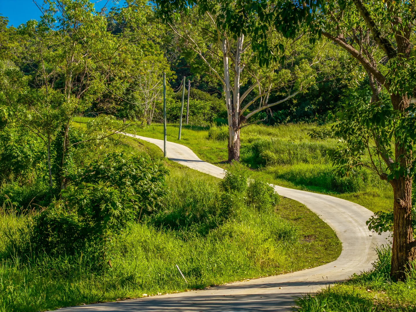Additional image 16 of 196-276 Kaiser Road, Tamborine Mountain QLD 4272