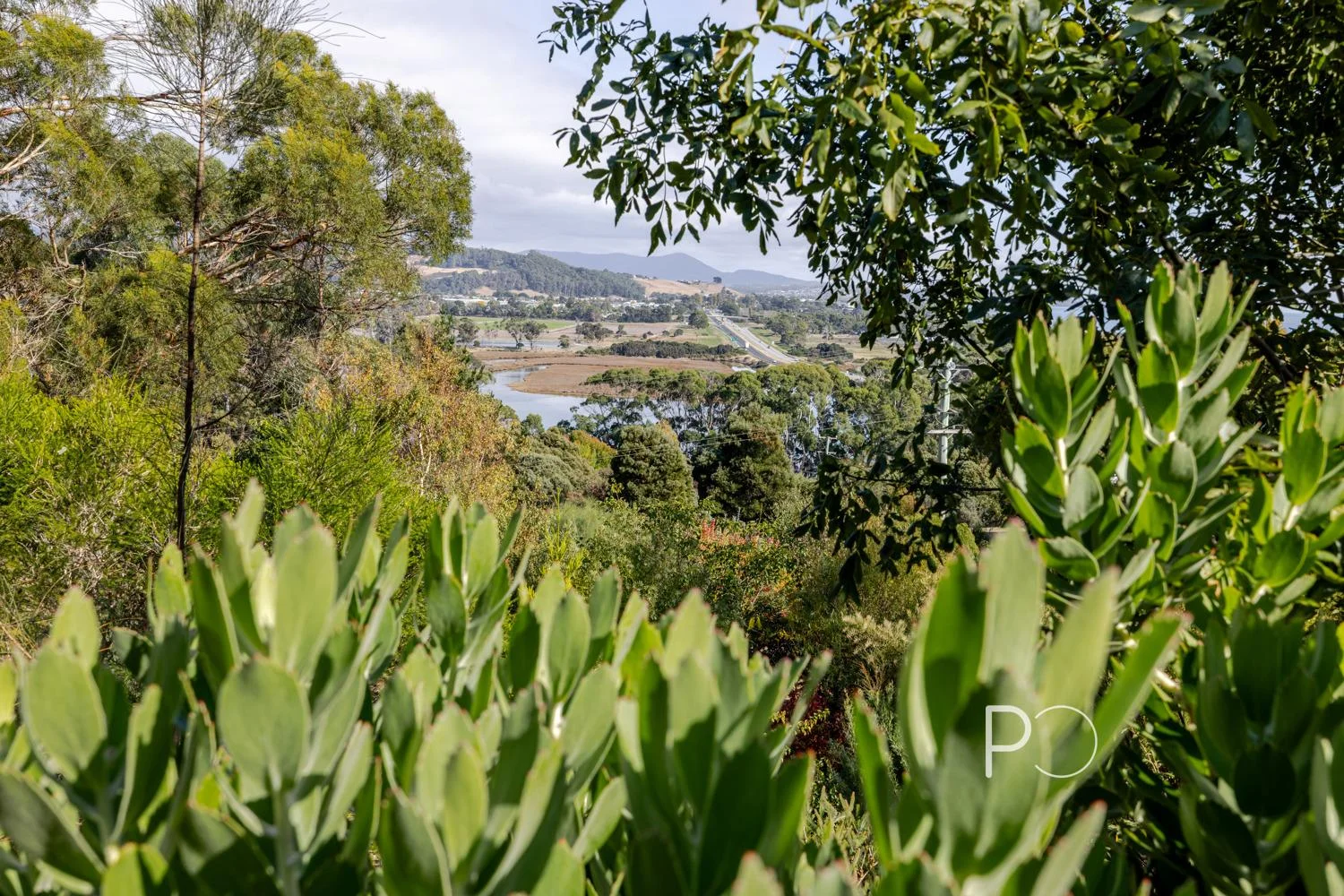 Additional image 23 of 20 Davis Street, Leith TAS 7315