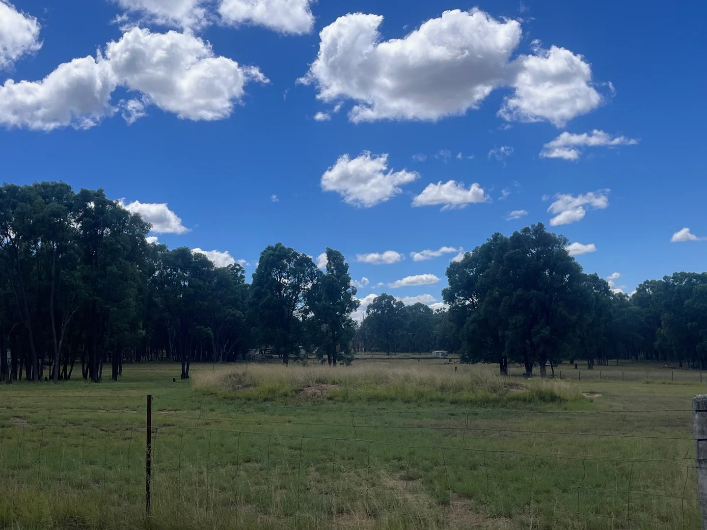 Additional image 29 of 122 Dows Lane, Coonabarabran NSW 2357