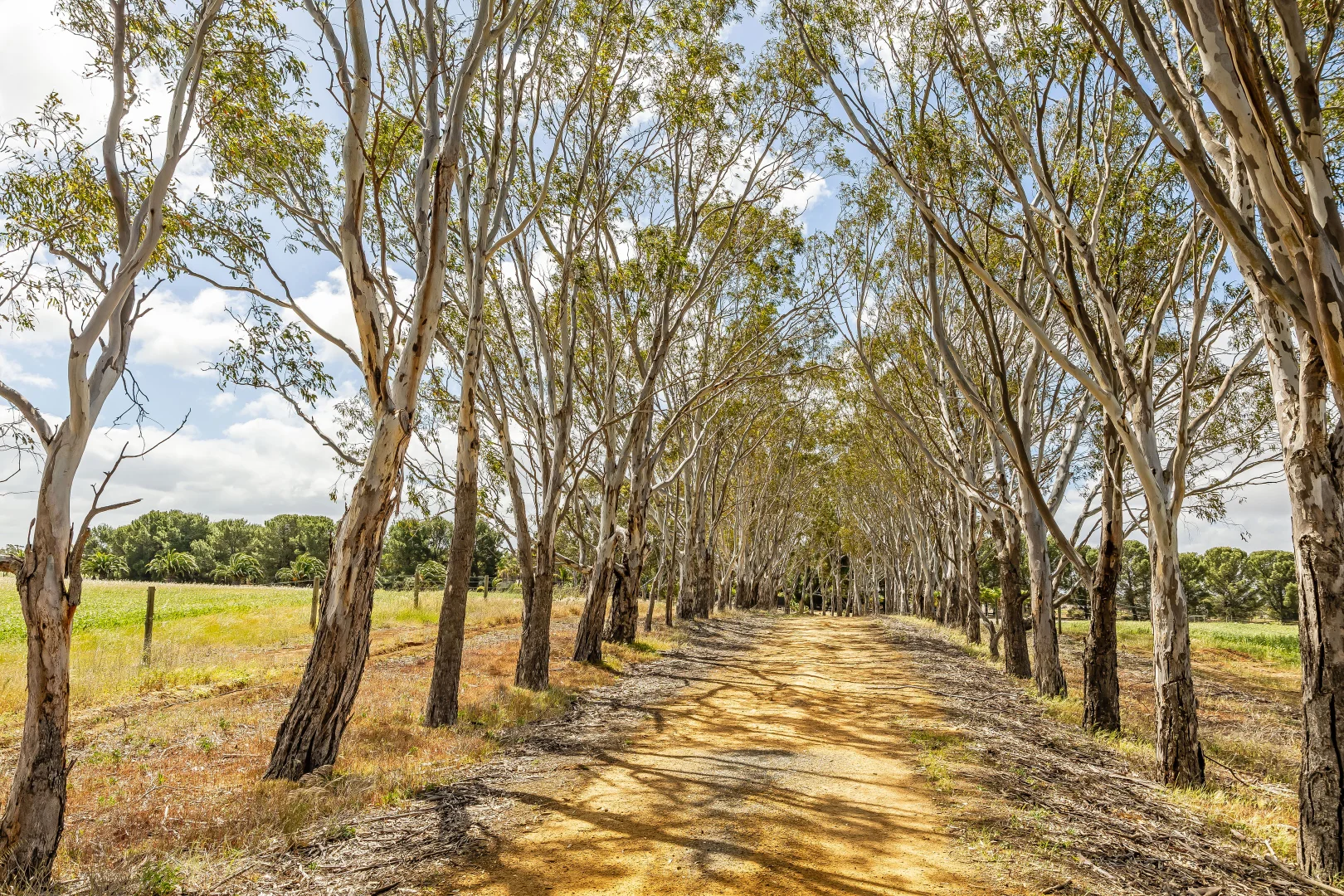 Additional image 69 of 726 Langhorne Creek Road, Belvidere SA 5255
