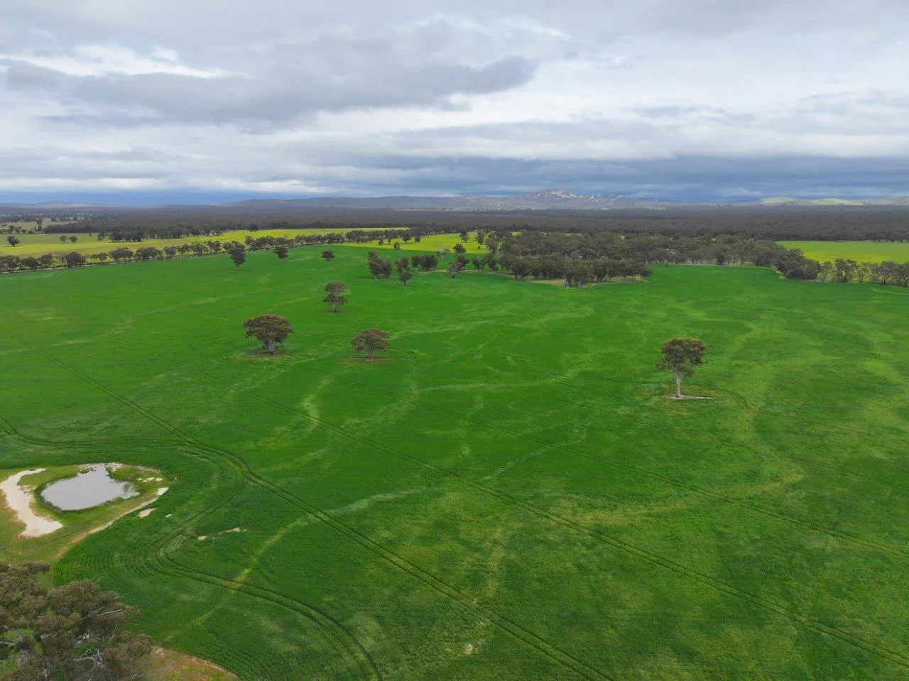 Additional image 17 of -- Brenanah-Kurting Road, Kurting VIC 3517