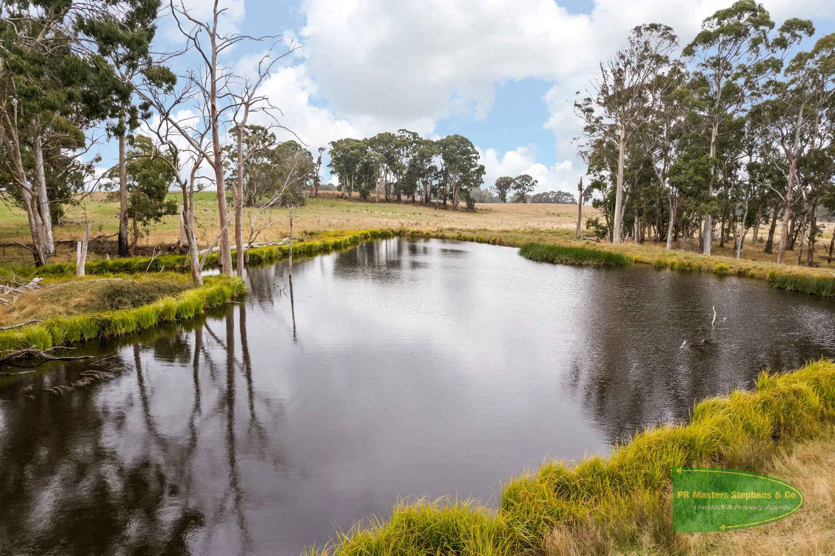 Additional image 34 of 800 Riverview Forest Road, Mozart NSW 2787