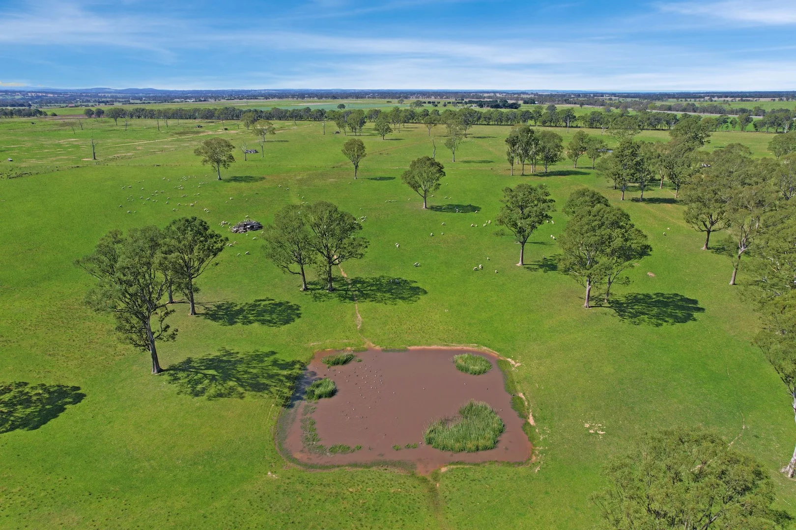 Additional image 15 of 1380 Princes Highway, Hillside VIC 3875