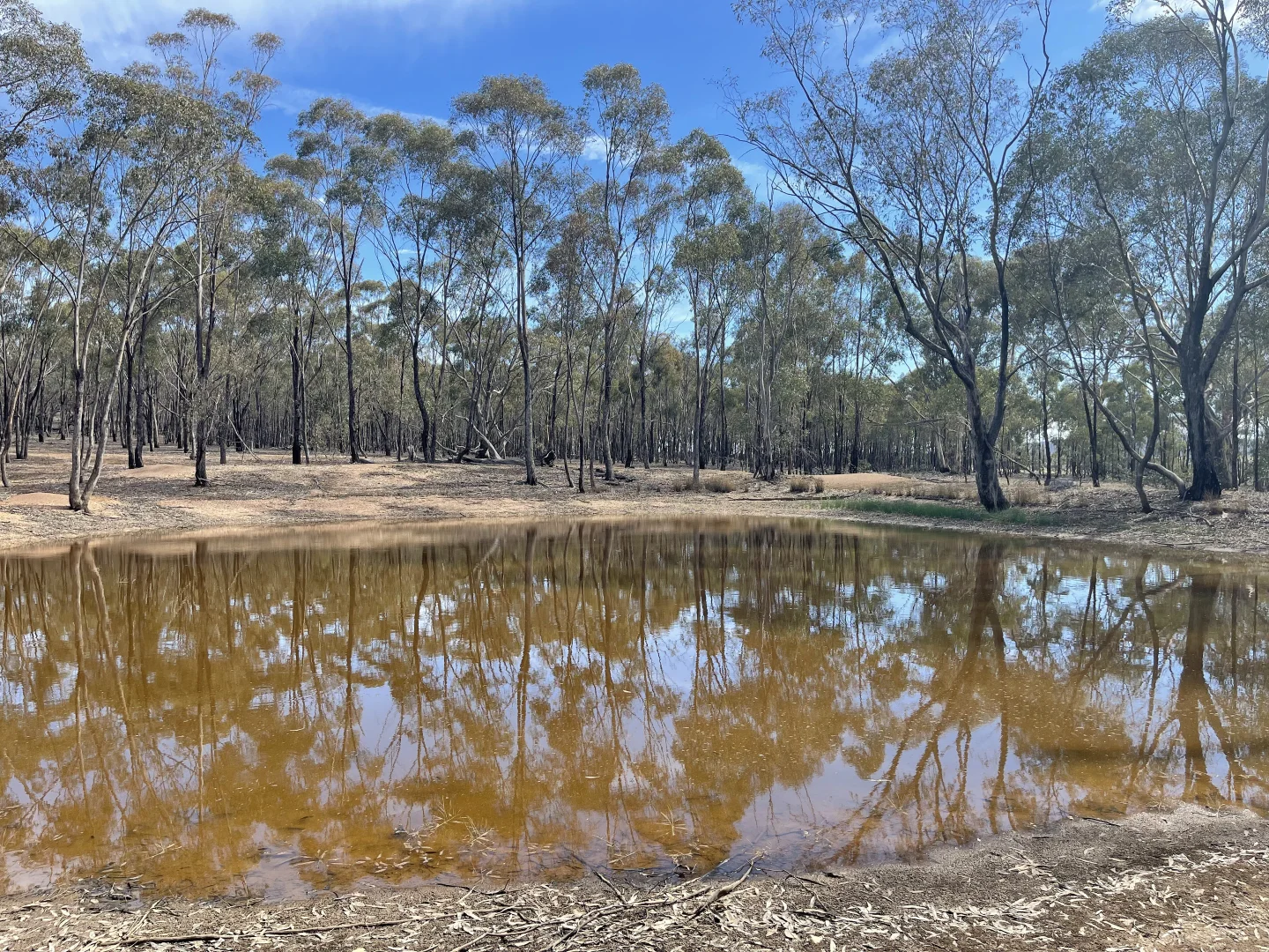 Additional image 31 of Misery Road, Beazleys Bridge VIC 3477
