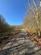 Additional image 8 of Needlewood Grove, Redditch, Worcestershire B48
