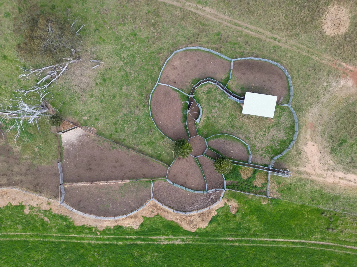 Additional image 6 of 1559 Digilah Road, Dunedoo NSW 2844