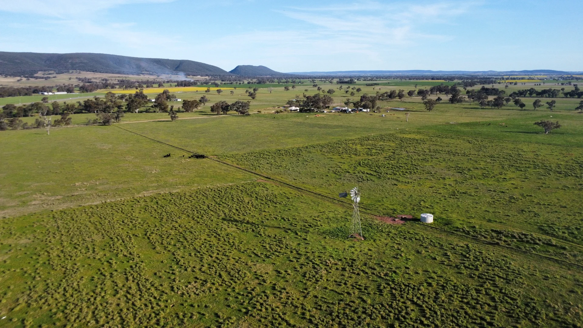 Additional image 5 of Young NSW 2594