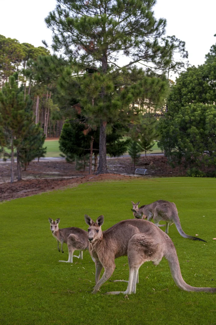 Additional image 29 of 1768/1 Rialto Quay Drive, Hope Island QLD 4212