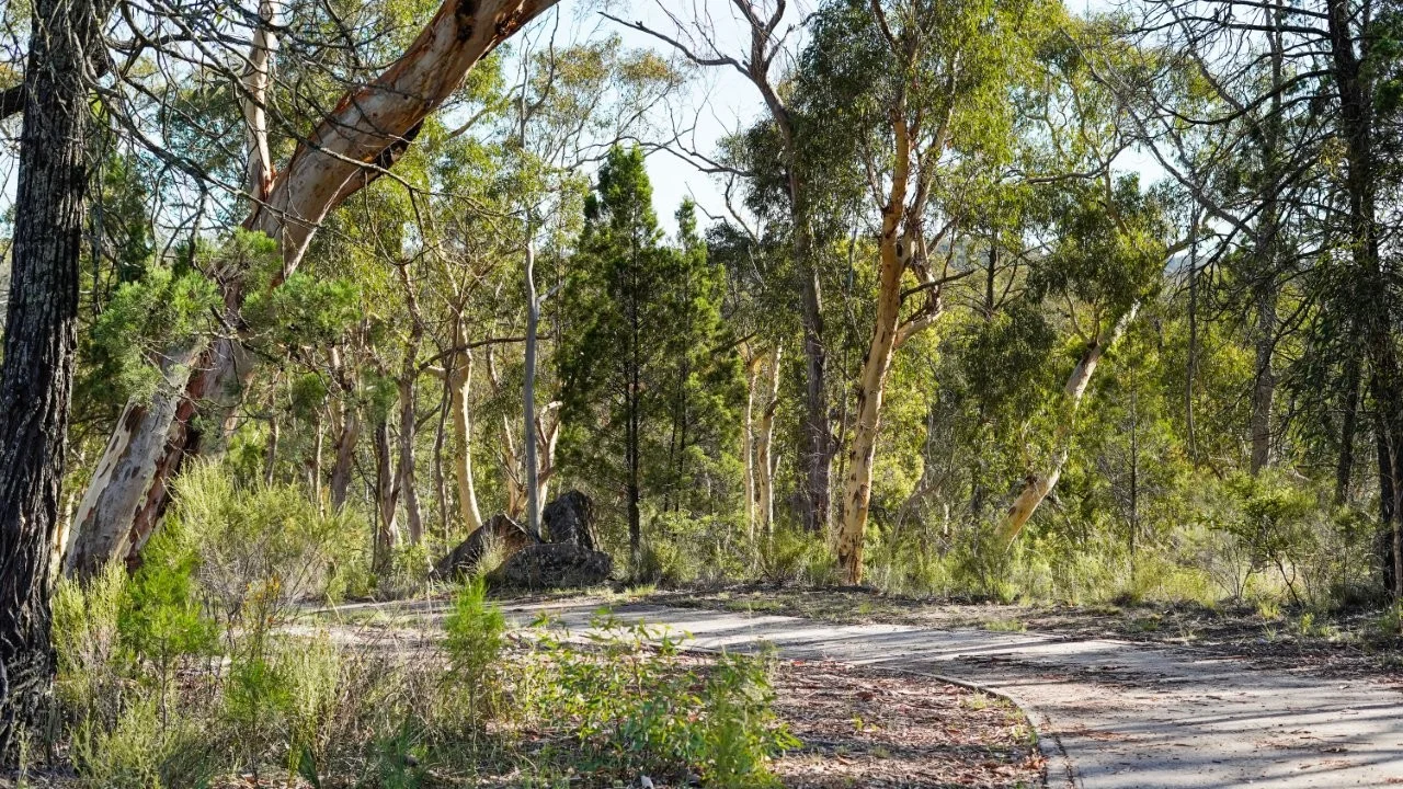 Additional image 6 of 295 Timor Road, Coonabarabran NSW 2357