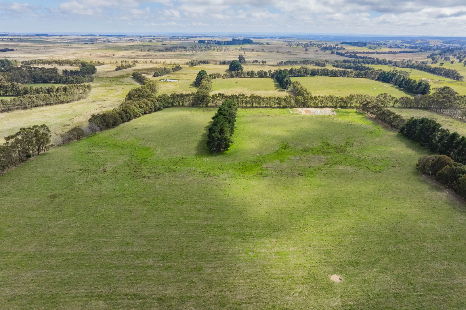 Additional image 41 of 251 Mount Rae Road, Roslyn NSW 2580