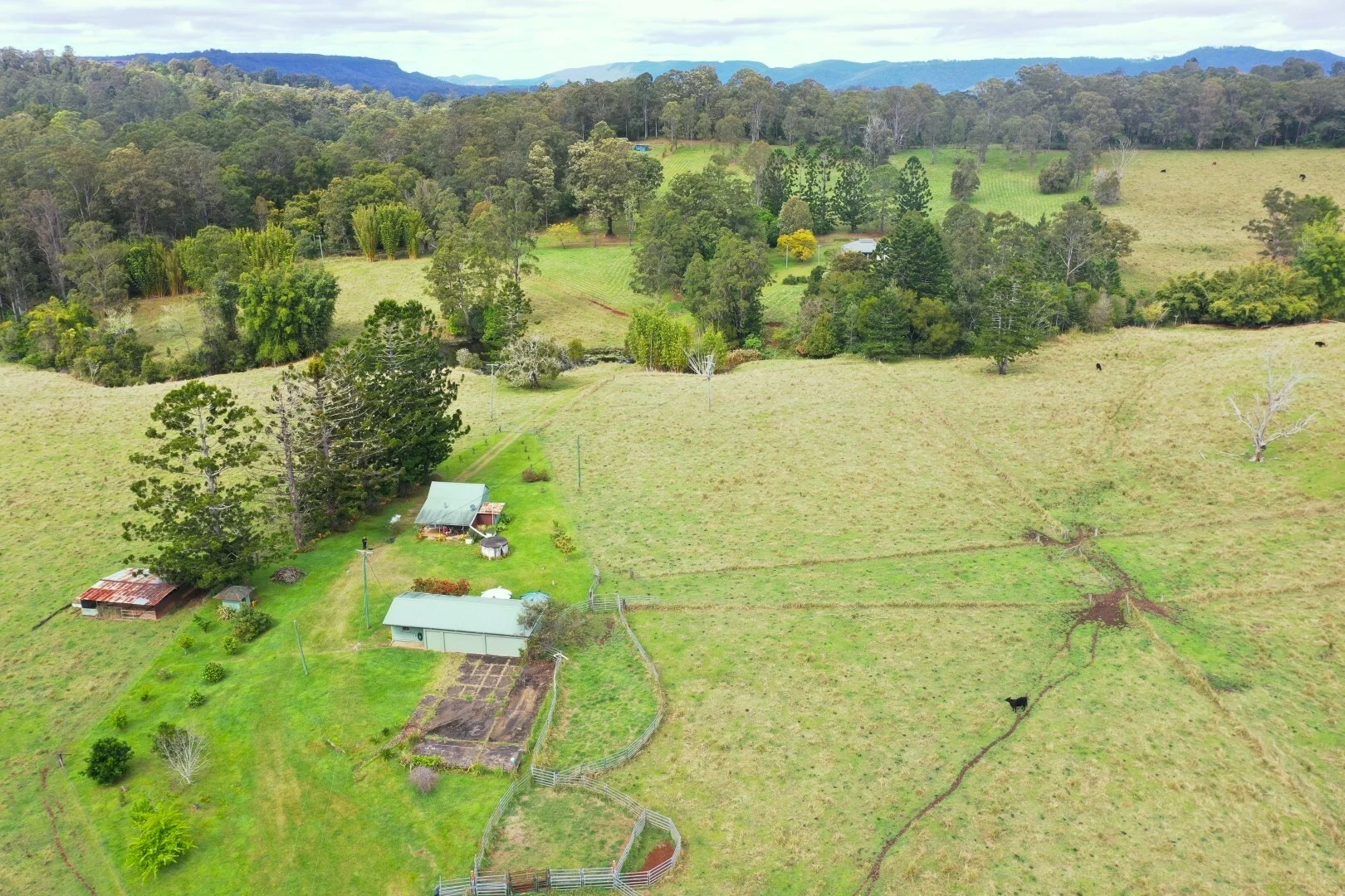 Additional image 9 of 66 Old Tweed Road, Wadeville NSW 2474