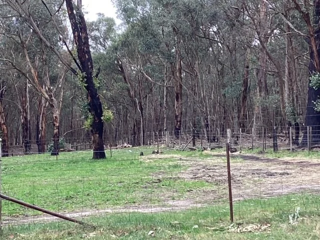 Additional image 12 of 236 Morrisons Lane, Korobeit VIC 3341