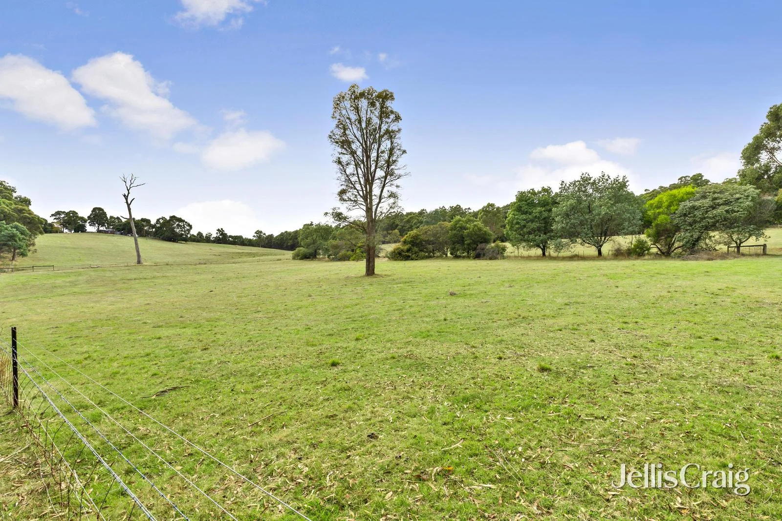 Additional image 4 of 85 Lightwood Drive, Wheatsheaf VIC 3461