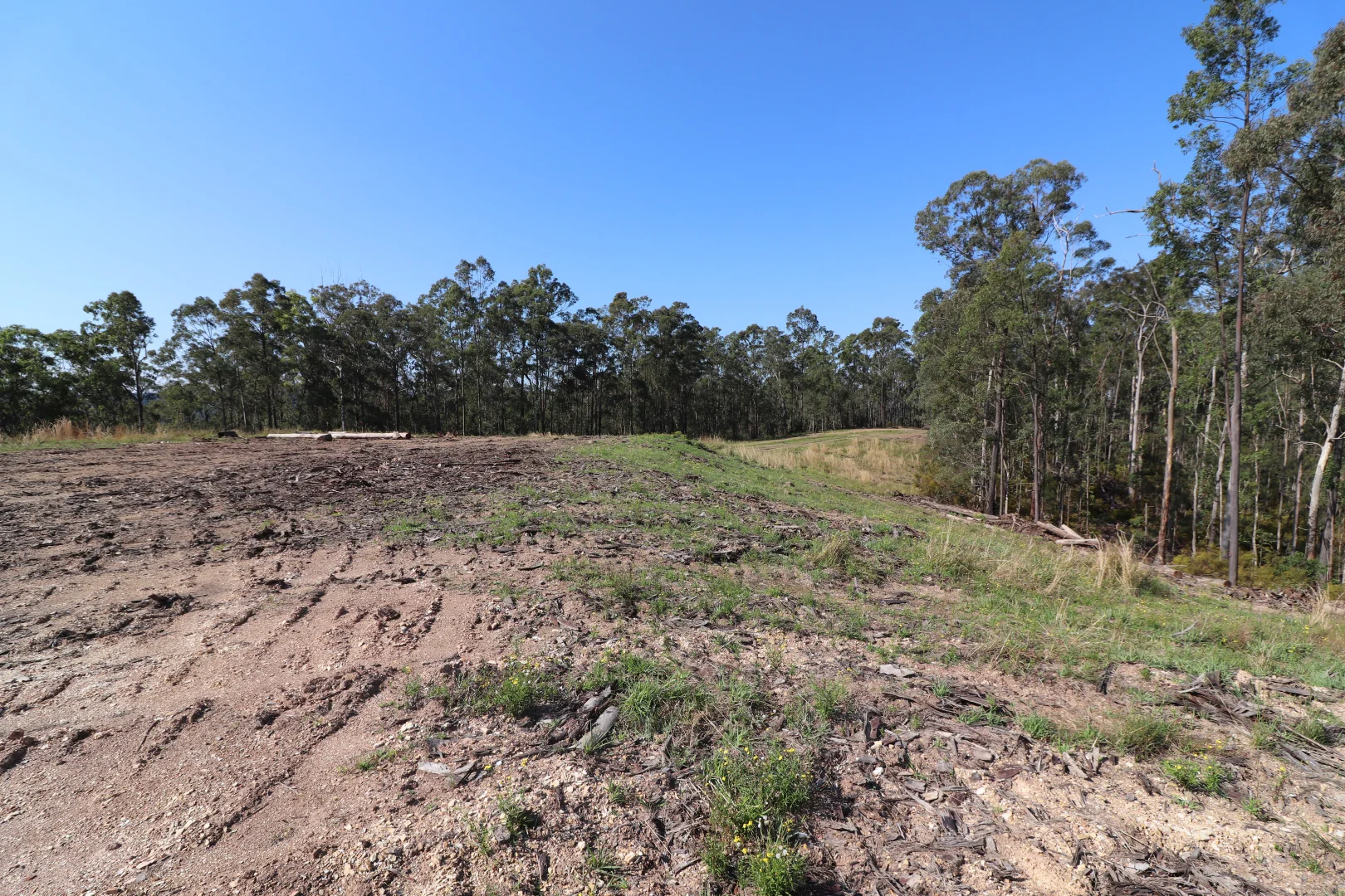 Additional image 13 of Lot 41 Collombatti Road, Collombatti NSW 2440