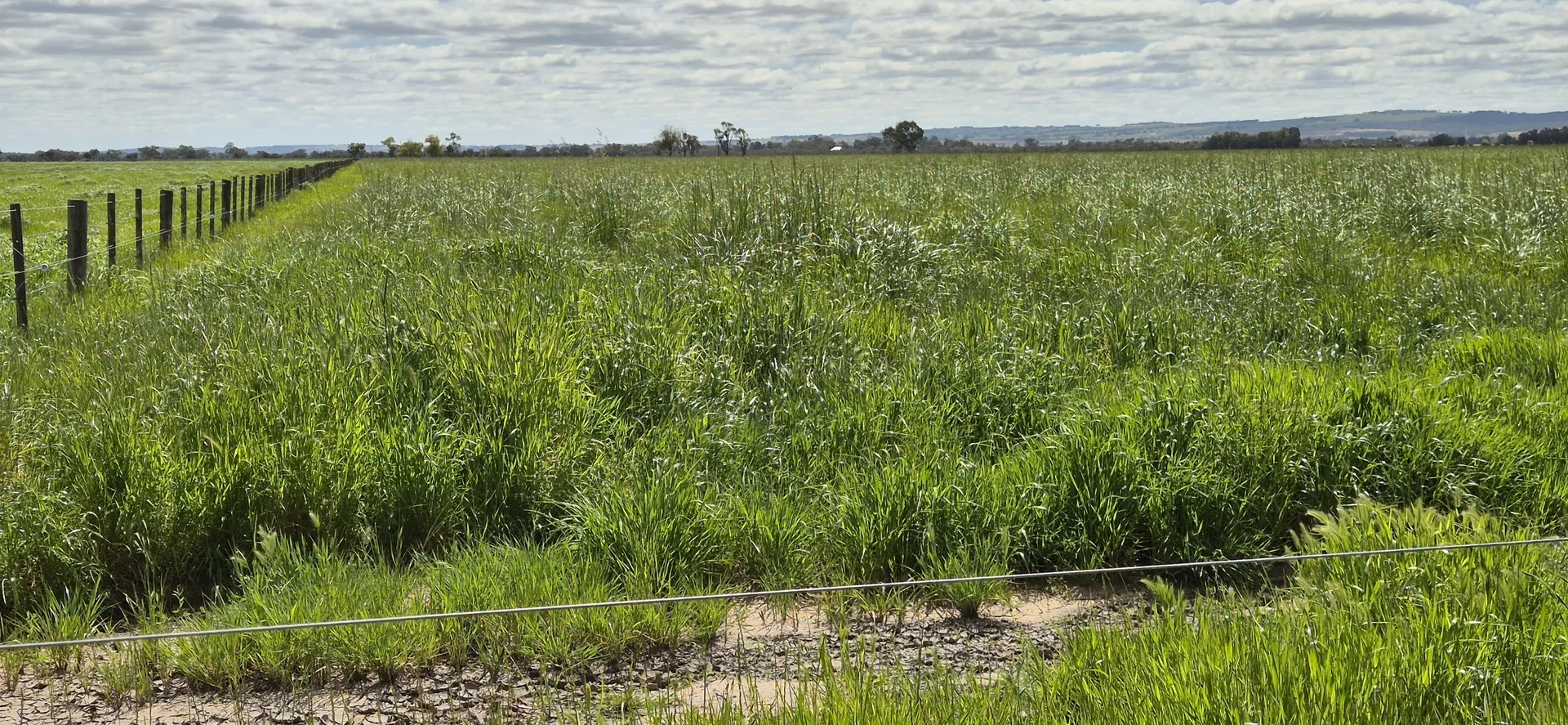 Additional image 14 of 4 Pin Pin Road, Beermullah WA 6503