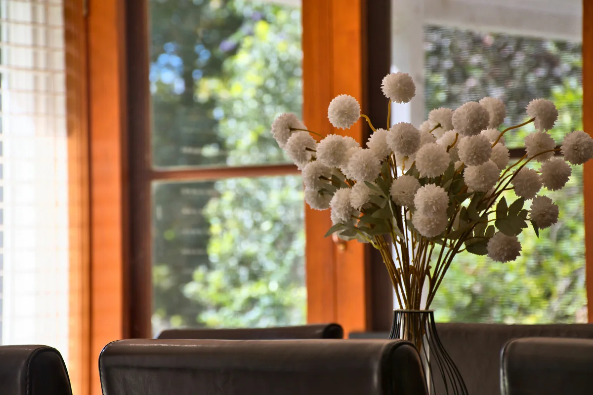 Additional image 9 of 15675 Clarence Way, Bean Creek NSW 2469