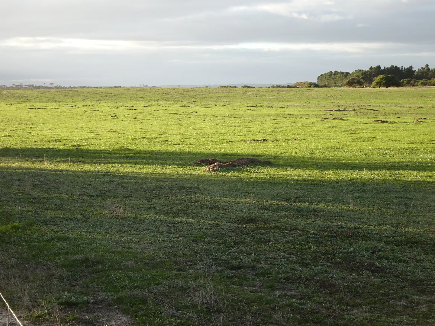 Additional image 13 of Lot 12520 Great Southern Highway, Woodanilling WA 6316