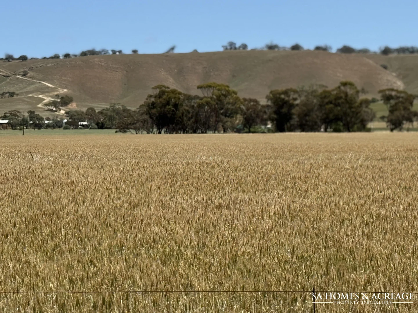 Additional image 13 of Section 407 & 408 Hills Road, Robertstown SA 5381