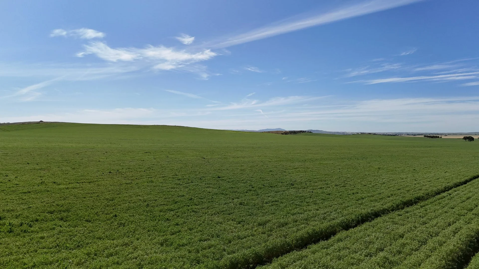 Additional image 5 of 'Pinefield' 186 Catford Rd, Appila SA 5480