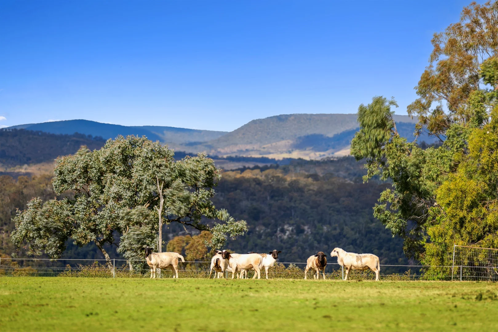 Additional image 17 of 1230 East Egypt Road, Fordsdale QLD 4343