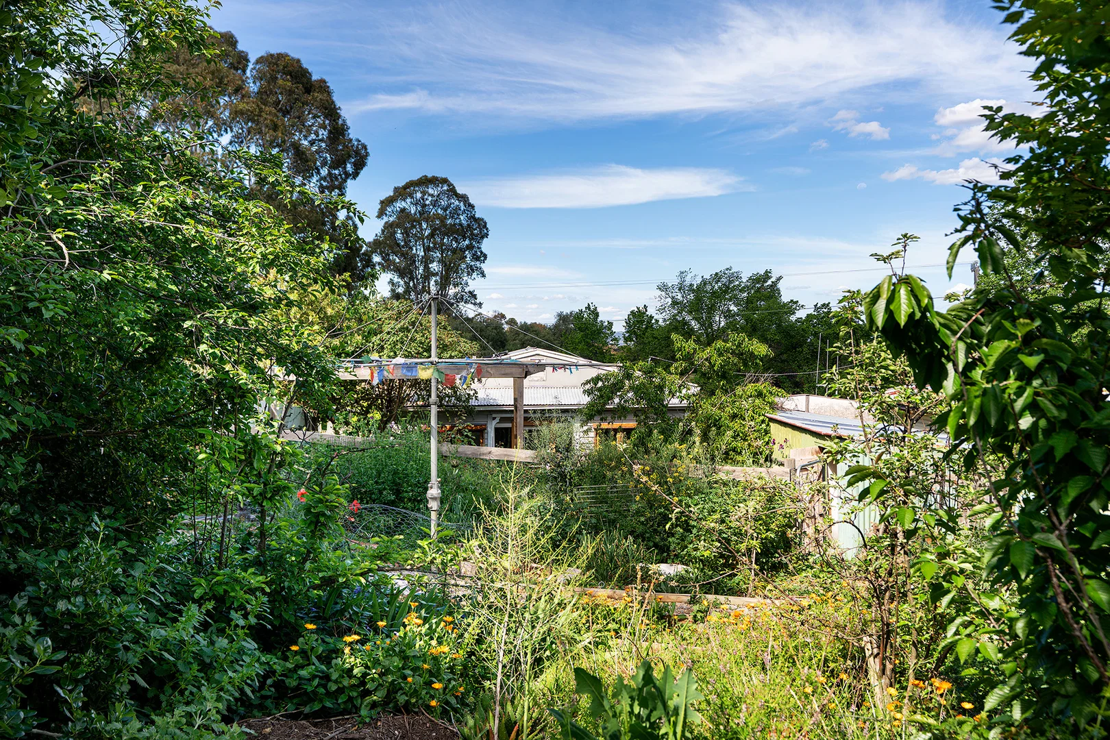 Additional image 12 of 3 Ireland Street, Maldon VIC 3463