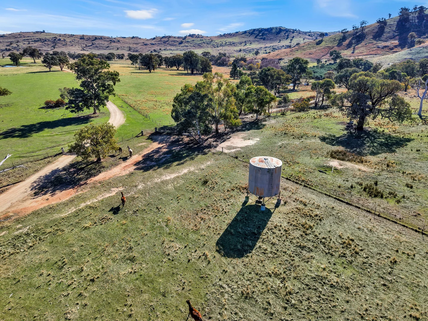 Additional image 7 of 333 Mount Darling Road, Reids Flat NSW 2586