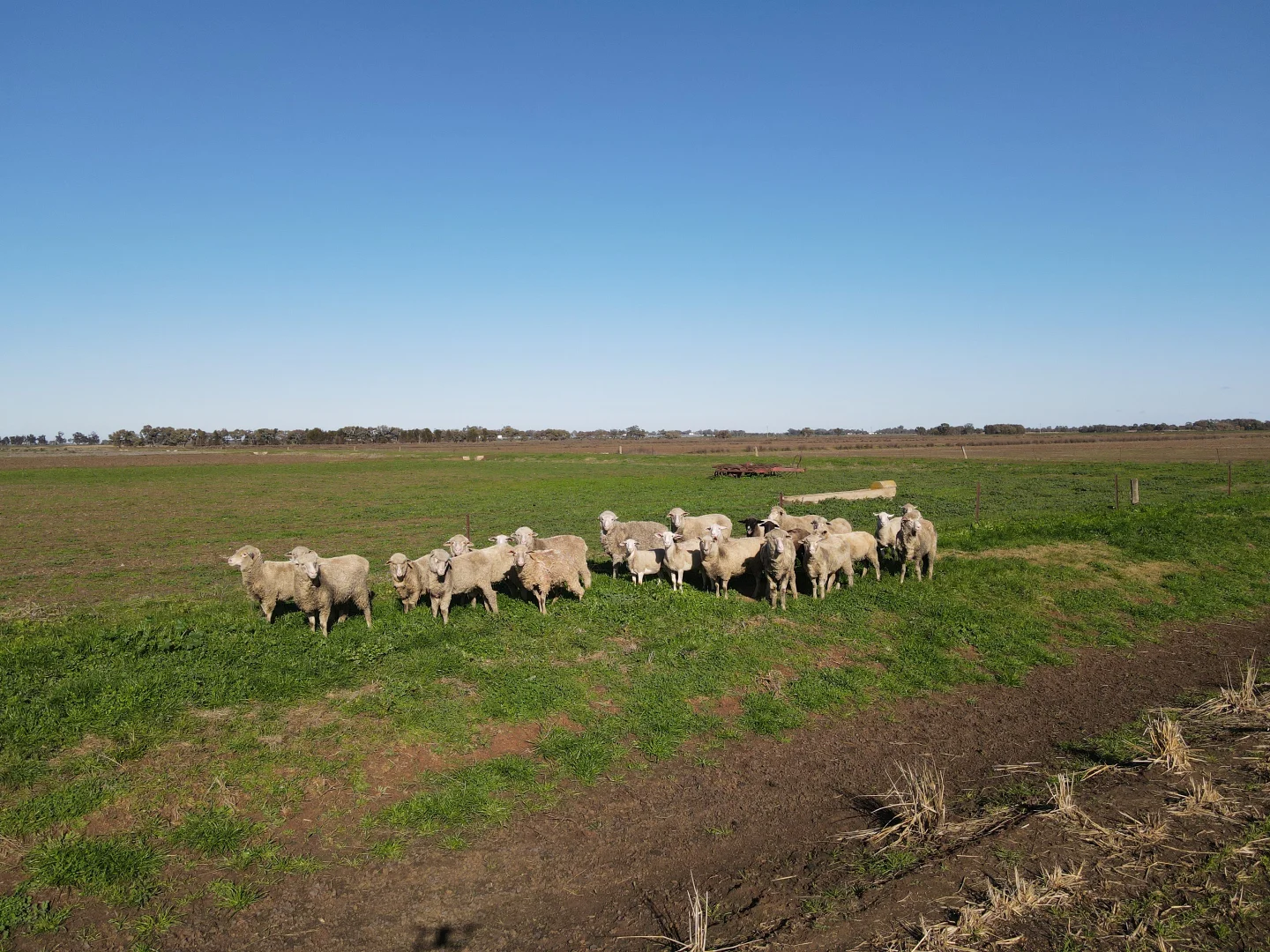 Additional image 12 of ( Davit Farm ) Cashmere Road, Widgelli NSW 2680