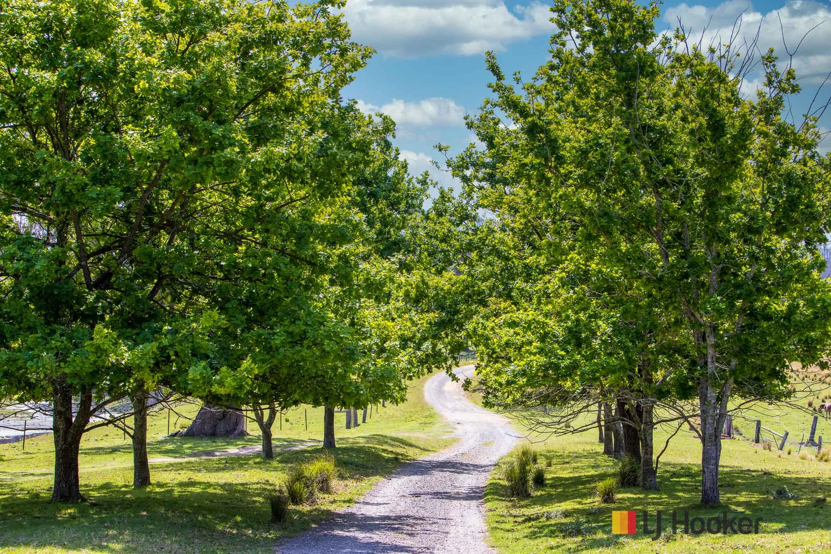 Additional image 3 of 1109 Princes Highway, Mogo NSW 2536