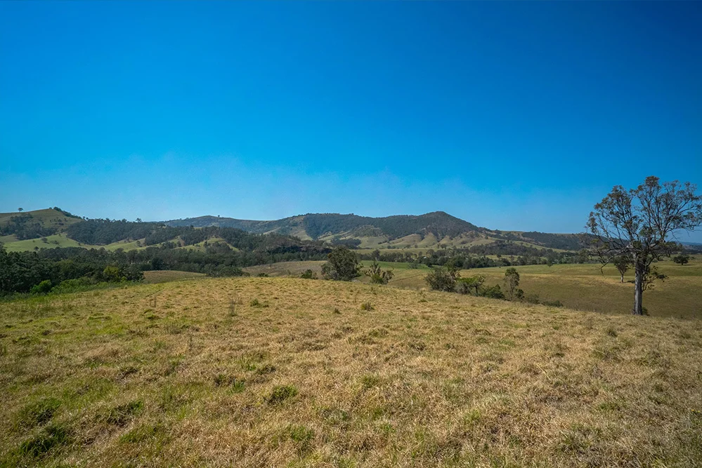 Lot A, 25 & 109 Allyn River Road, Halton NSW 2311