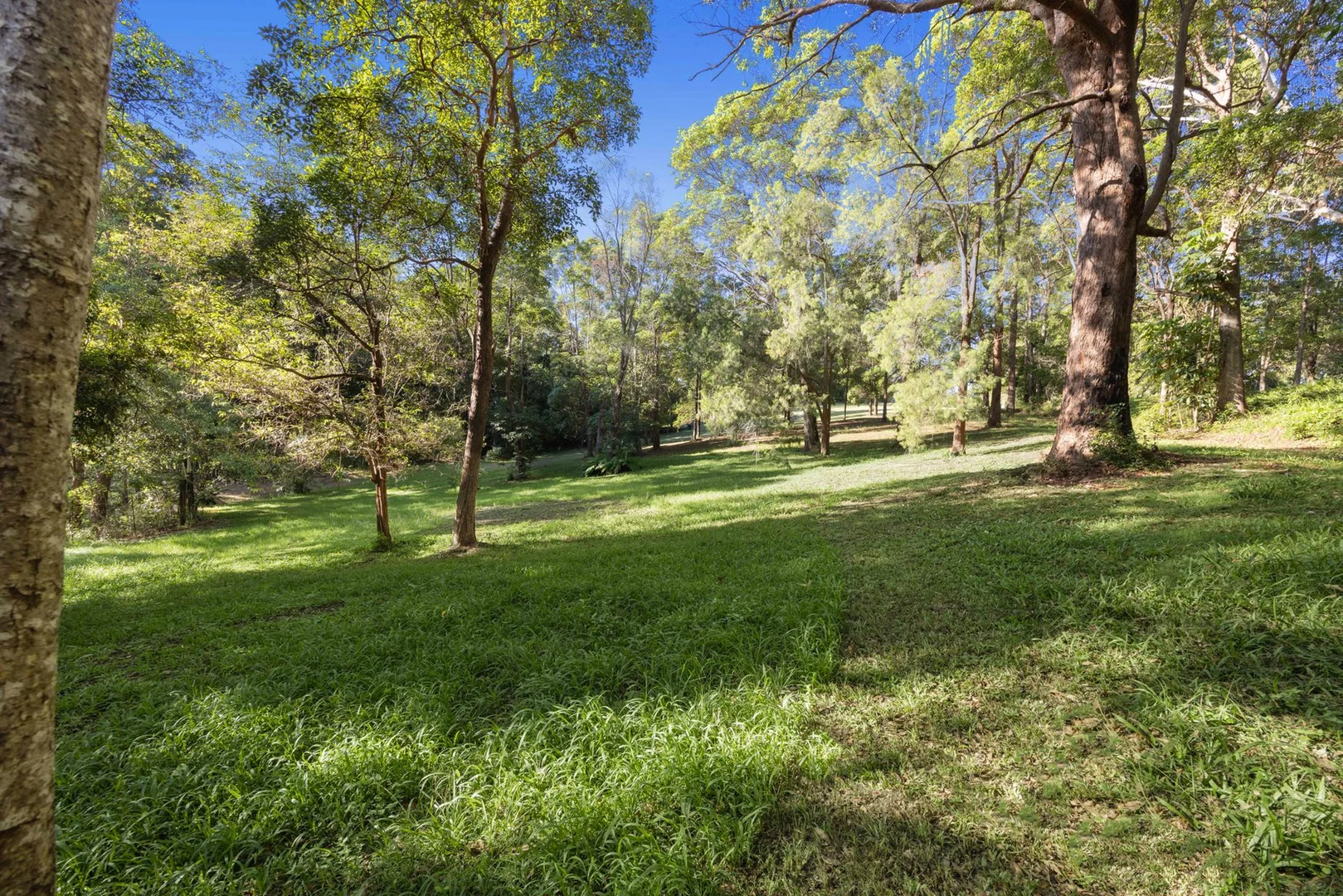 Additional image 11 of 72 Pringle Road, Rosemount QLD 4560