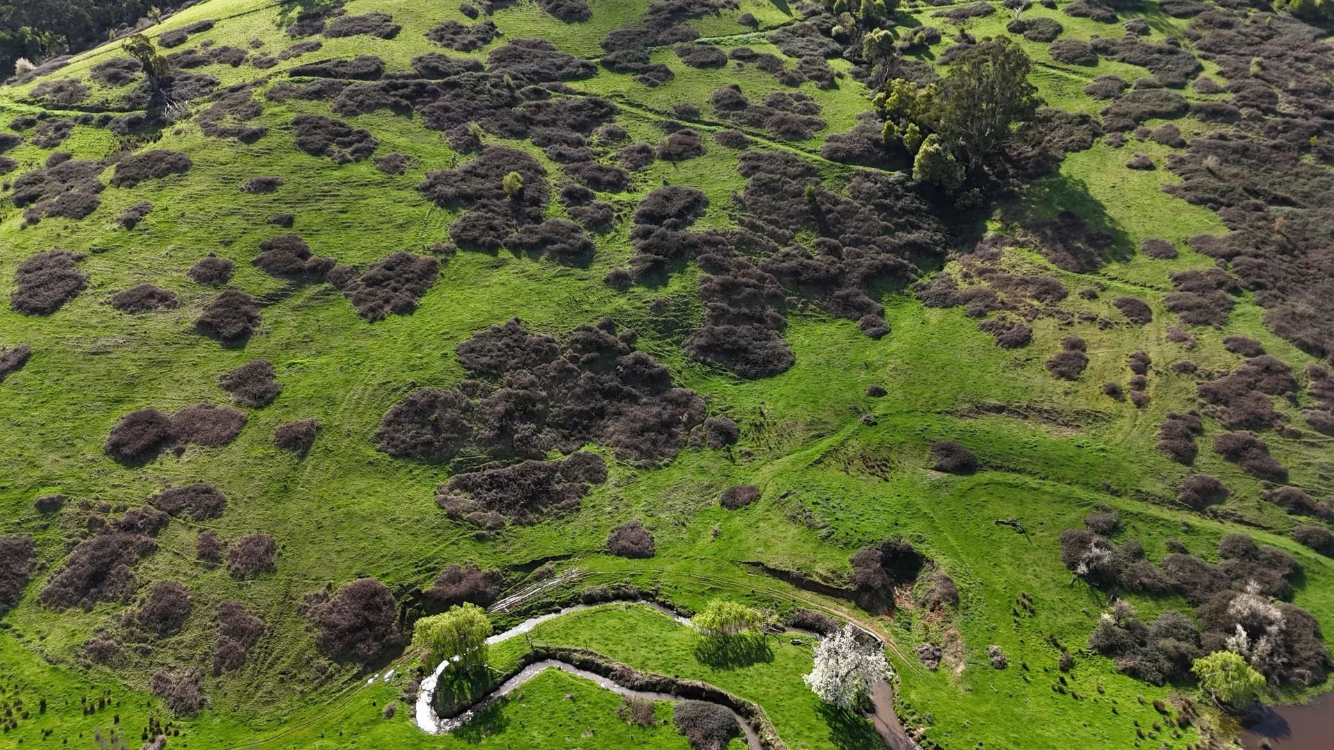 Additional image 19 of 141 BUNDERRA DRIVE, Boolarra VIC 3870