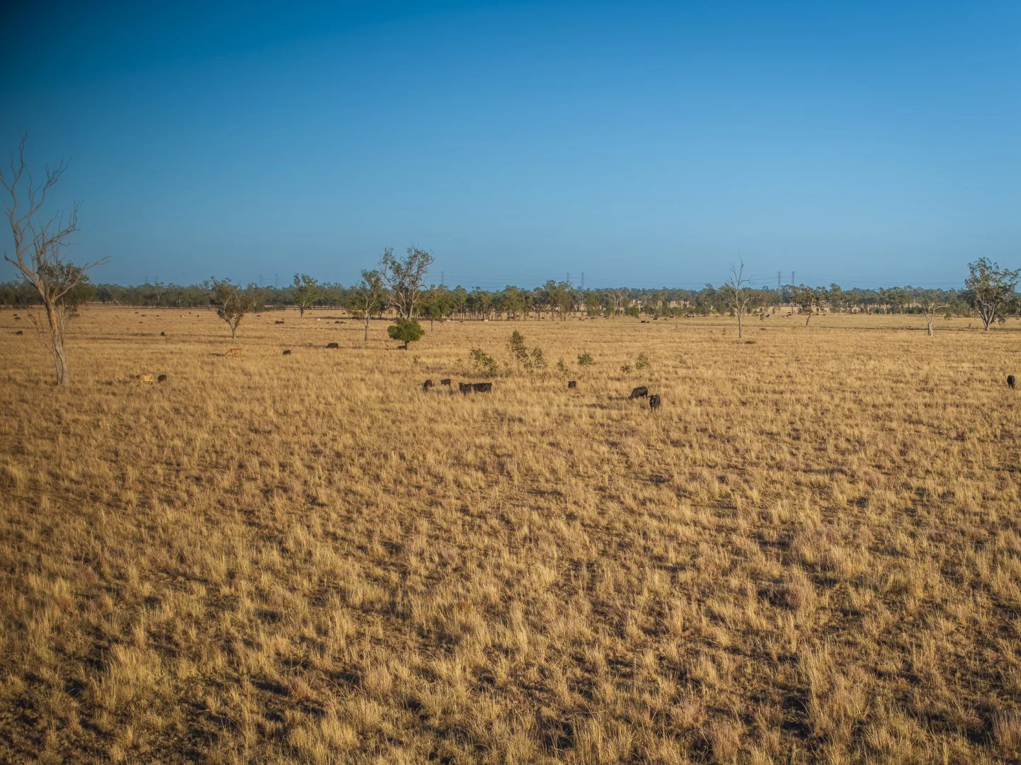 Additional image 16 of Darling Downs, Cooranga QLD 4408