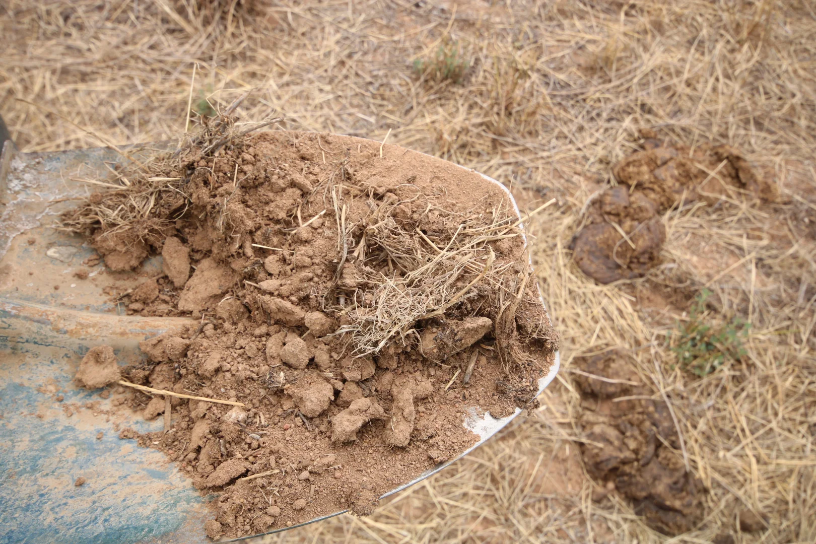 Additional image 18 of 614 Nullabooma Road, Wakool NSW 2710