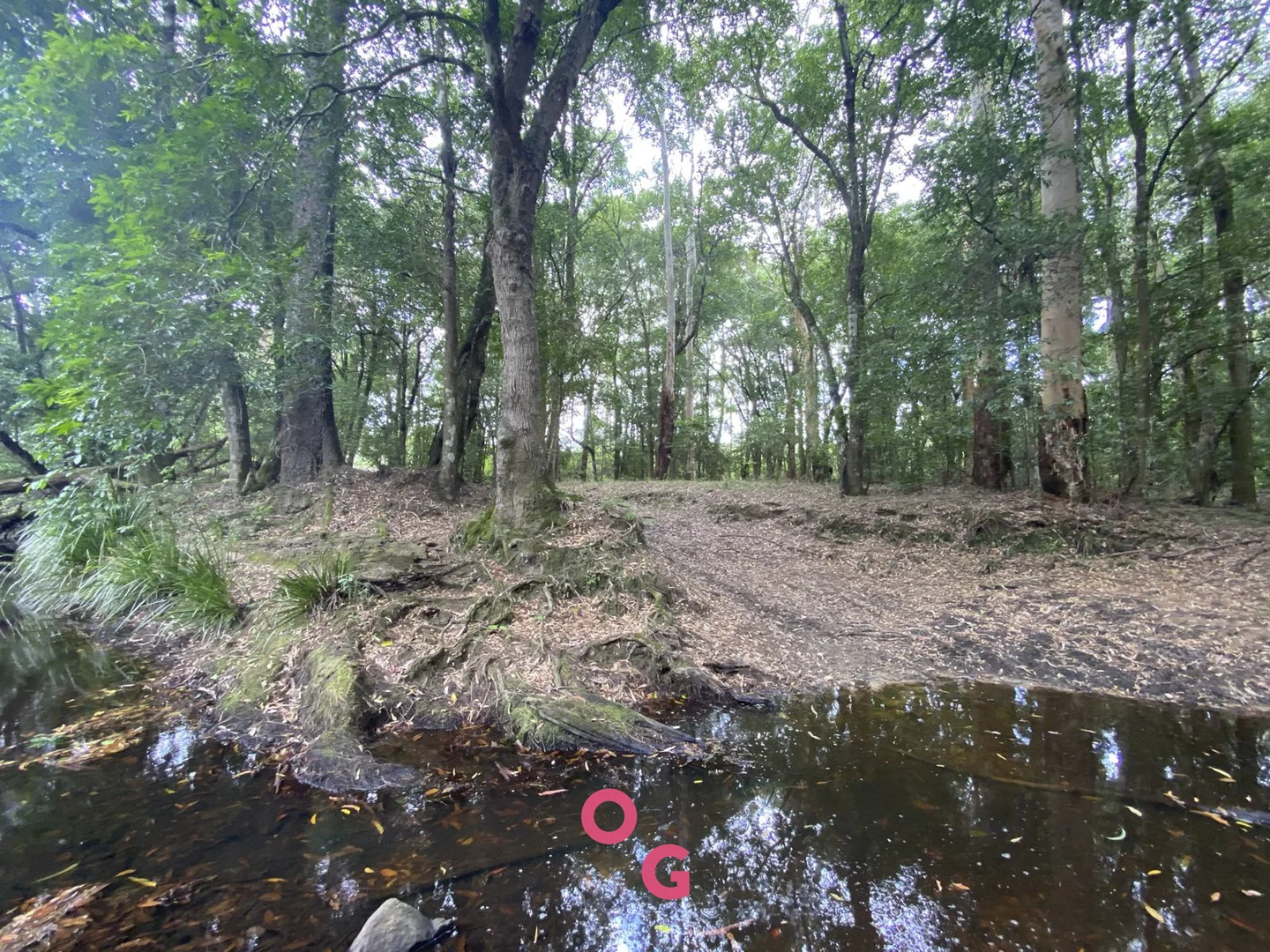 Additional image 34 of 136 Limeburners Creek Road, Limeburners Creek NSW 2324